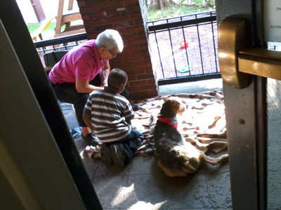 young boy getting aquainted with a therapy dog
