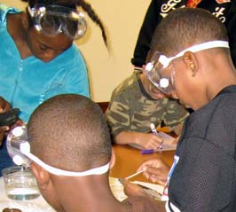 children cleaning fossilized leaves